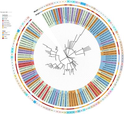 Genomic insights of mcr-1 harboring Escherichia coli by geographical region and a One-Health perspective